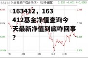 163412，163412基金净值查询今天最新净值到底咋回事?