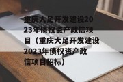 重庆大足开发建设2023年债权资产政信项目（重庆大足开发建设2023年债权资产政信项目招标）