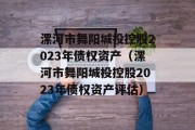 漯河市舞阳城投控股2023年债权资产（漯河市舞阳城投控股2023年债权资产评估）