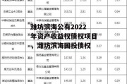 潍坊滨海公有2022年资产收益权债权项目，潍坊滨海国投债权