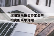 绵阳富乐投资特定资产拍卖的简单介绍