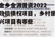 金乡金源国资2022政信债权项目，乡村振兴项目有哪些