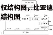 股权结构图，比亚迪股权结构图