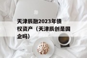 天津辰融2023年债权资产（天津辰创是国企吗）