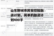 山东聊城市民安控股融资计划，简单的融资计划400字