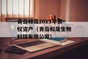 青岛和晟2023年债权资产（青岛和晟生物科技有限公司）