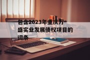 包含2023年重庆万盛实业发展债权项目的词条