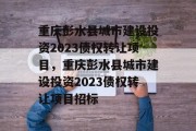 重庆彭水县城市建设投资2023债权转让项目，重庆彭水县城市建设投资2023债权转让项目招标