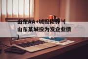 山东AA+城投债券（山东某城投为发企业债）