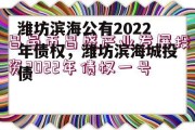 潍坊滨海公有2022年债权，潍坊滨海城投债