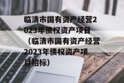 临清市国有资产经营2023年债权资产项目（临清市国有资产经营2023年债权资产项目招标）