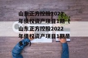 山东正方控股2022年债权资产项目1期（山东正方控股2022年债权资产项目1期是多少）