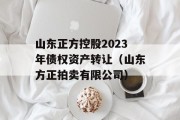 山东正方控股2023年债权资产转让（山东方正拍卖有限公司）