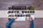 邹城市利民2022年融资计划，邹城市利民2022年融资计划招标