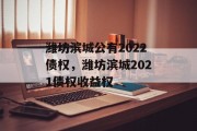 潍坊滨城公有2022债权，潍坊滨城2021债权收益权