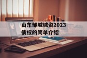 山东邹城城资2023债权的简单介绍