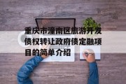 重庆市潼南区旅游开发债权转让政府债定融项目的简单介绍