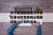 关于武汉阳逻经济开发区建设开发有限公司债权转让计划的信息