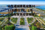 山东诸城隆嘉水务2022年债权1号、2号，山东水务投资有限公司