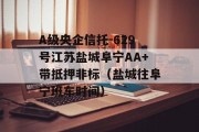 A级央企信托-629号江苏盐城阜宁AA+带抵押非标（盐城往阜宁班车时间）