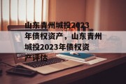 山东青州城投2023年债权资产，山东青州城投2023年债权资产评估