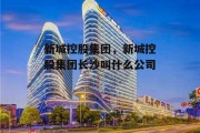 新城控股集团，新城控股集团长沙叫什么公司