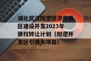 湖北武汉阳逻经济开发区建设开发2023年债权转让计划（阳逻开发区引进大项目）