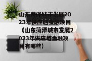 山东菏泽城市发展2023年供应链金融项目（山东菏泽城市发展2023年供应链金融项目有哪些）