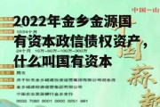 2022年金乡金源国有资本政信债权资产，什么叫国有资本