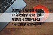 武隆建设投资债权2023年政府债定融（武隆建设投资债权2023年政府债定融利率）