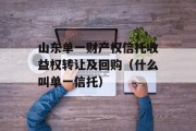 山东单一财产权信托收益权转让及回购（什么叫单一信托）