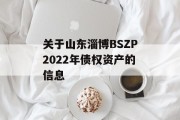 关于山东淄博BSZP2022年债权资产的信息