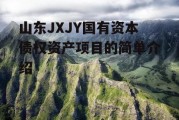 山东JXJY国有资本债权资产项目的简单介绍