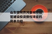 山东德州齐河县城市经营建设投资债权项目的简单介绍