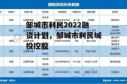 邹城市利民2022融资计划，邹城市利民城投控股