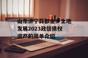 山东济宁蒜都金乡土地发展2023政信债权资产的简单介绍