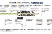 brca基因检测，brca基因检测为什么被叫停