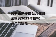 关于山东枣庄台儿庄财金投资2023年债权资产的信息