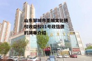 山东邹城市圣城文化债权收益权01号政信债的简单介绍