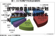 遂宁顺泰直接融资计划，大学生融资计划怎么写