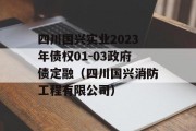 四川国兴实业2023年债权01-03政府债定融（四川国兴消防工程有限公司）