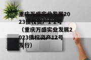 重庆万盛实业发展2023债权资产1-2号（重庆万盛实业发展2023债权资产12号发行）