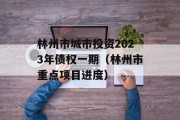 林州市城市投资2023年债权一期（林州市重点项目进度）