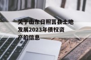 关于山东日照莒县土地发展2023年债权资产的信息