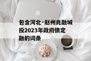 包含河北·赵州兆融城投2023年政府债定融的词条