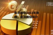 景洪国投2022年债权，景洪国投简介