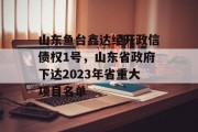 山东鱼台鑫达经开政信债权1号，山东省政府下达2023年省重大项目名单