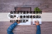 山东济宁金乡城建债权资产，金乡城建投资2021债权资产