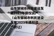 山东邹城市利民建设发展2023年债权资产（山东邹城市利民建设发展2023年债权资产转让）