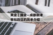 央企➕国企—成都新津非标政信的简单介绍